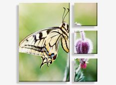 Split Canvas Prints | Canvas Factory